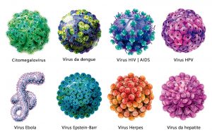 Diferentes vírus