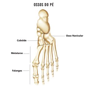 Ossos do pé