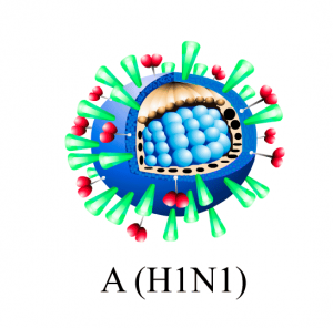 Vírus (H1N1)